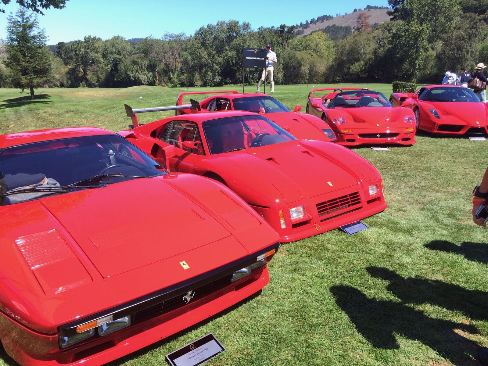 A row of Ferraris on a concours lawn